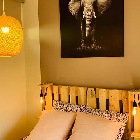 Warm & Wood * クレルモン・フェラン